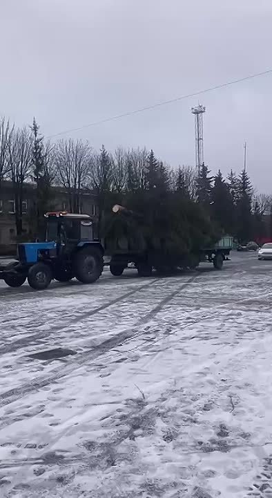 Друзья, у нас отличные новости! На площади нашего поселка уже установили новогоднюю елочку! Скоро будем украшать ее и готовиться к самому волшебному празднику!