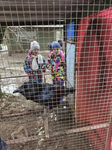 Парк птиц посещаем в любое время года Парк птиц посещаем в любое время года