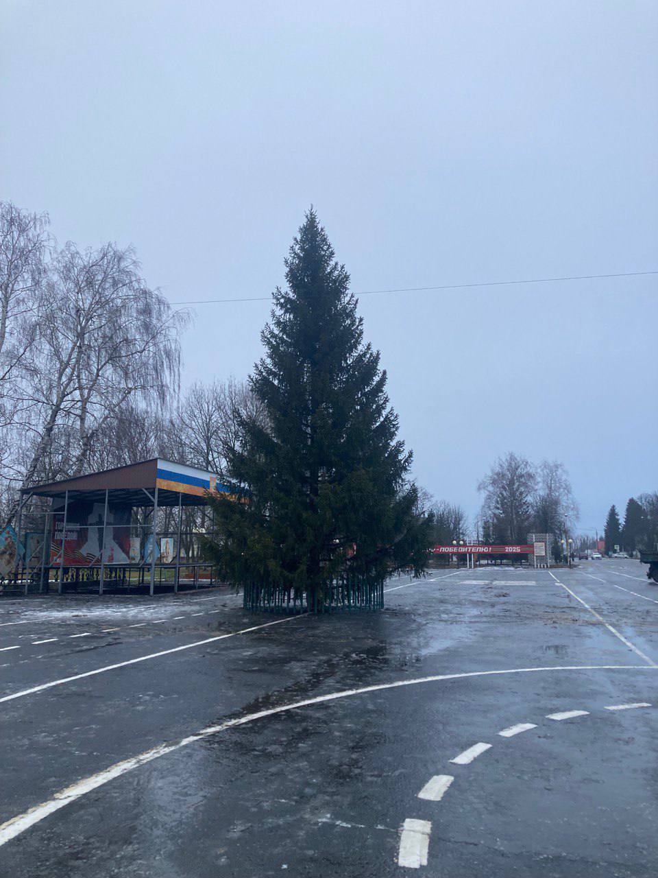 Друзья, у нас отличные новости! На площади нашего поселка уже установили новогоднюю елочку! Скоро будем украшать ее и готовиться к самому волшебному празднику! Друзья, у нас отличные новости! На площади нашего поселка уже установили новогоднюю елочку! Скоро будем украшать ее и готовиться к самому волшебному празднику!