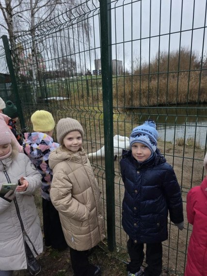 Парк птиц посещаем в любое время года Парк птиц посещаем в любое время года