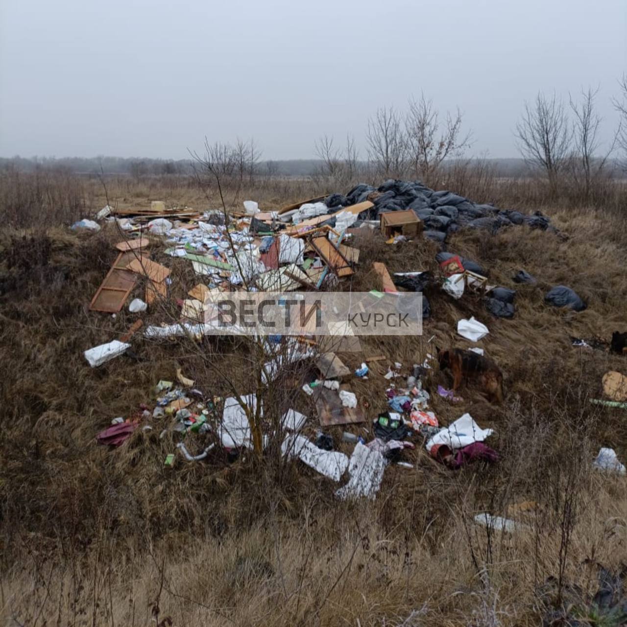 123Берег Сейма стал местом свалки