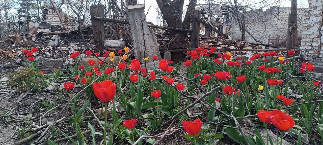 В филиале Фонда "Защитники Отечества" по Курской области вручена награда победителю Всероссийского конкурса творческих работ «Памяти героев верны!», организованного Фондом «Защитники Отечества» в партнерстве с Движением...