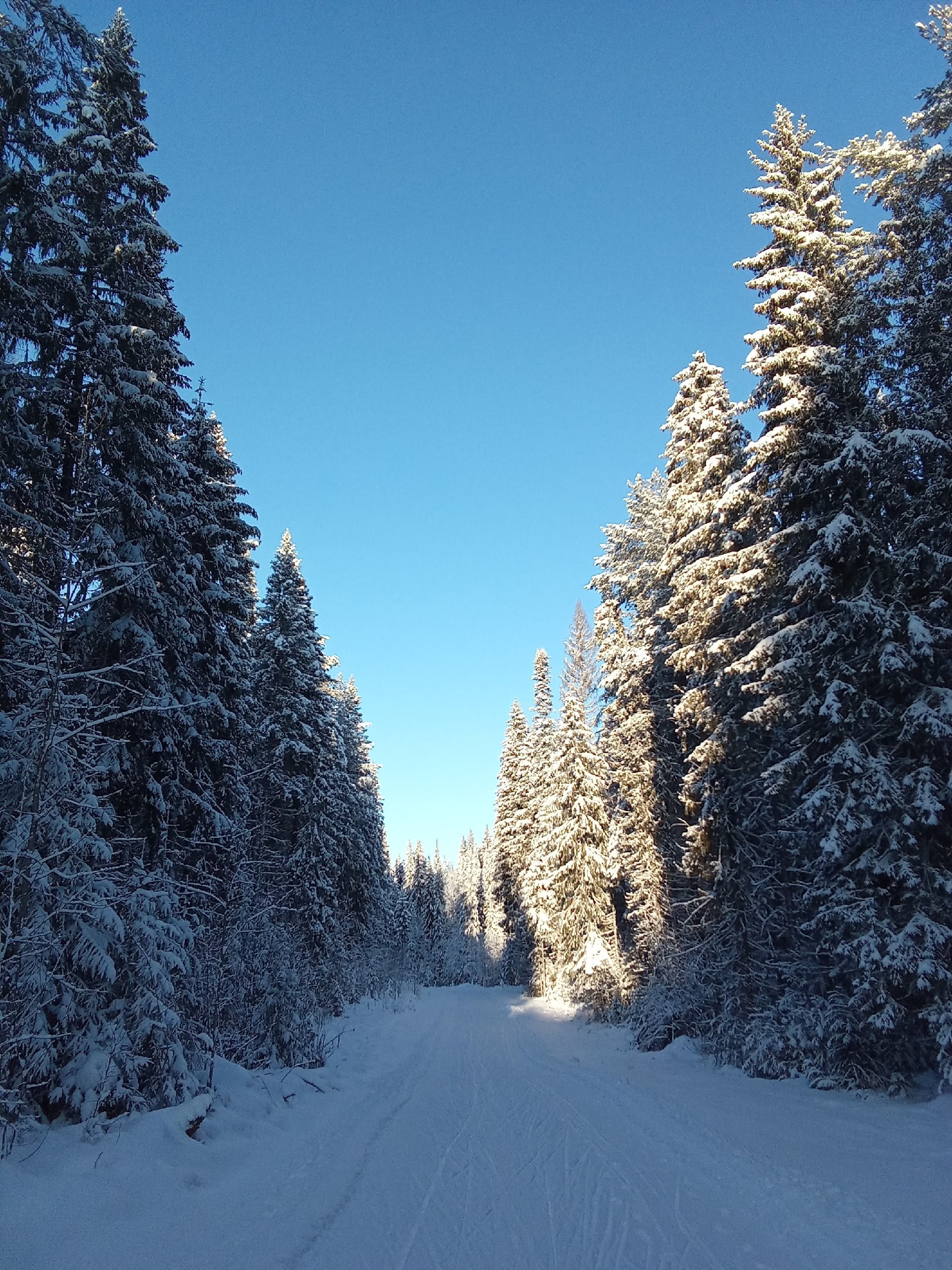 Зимняя сказка от курских лыжников!