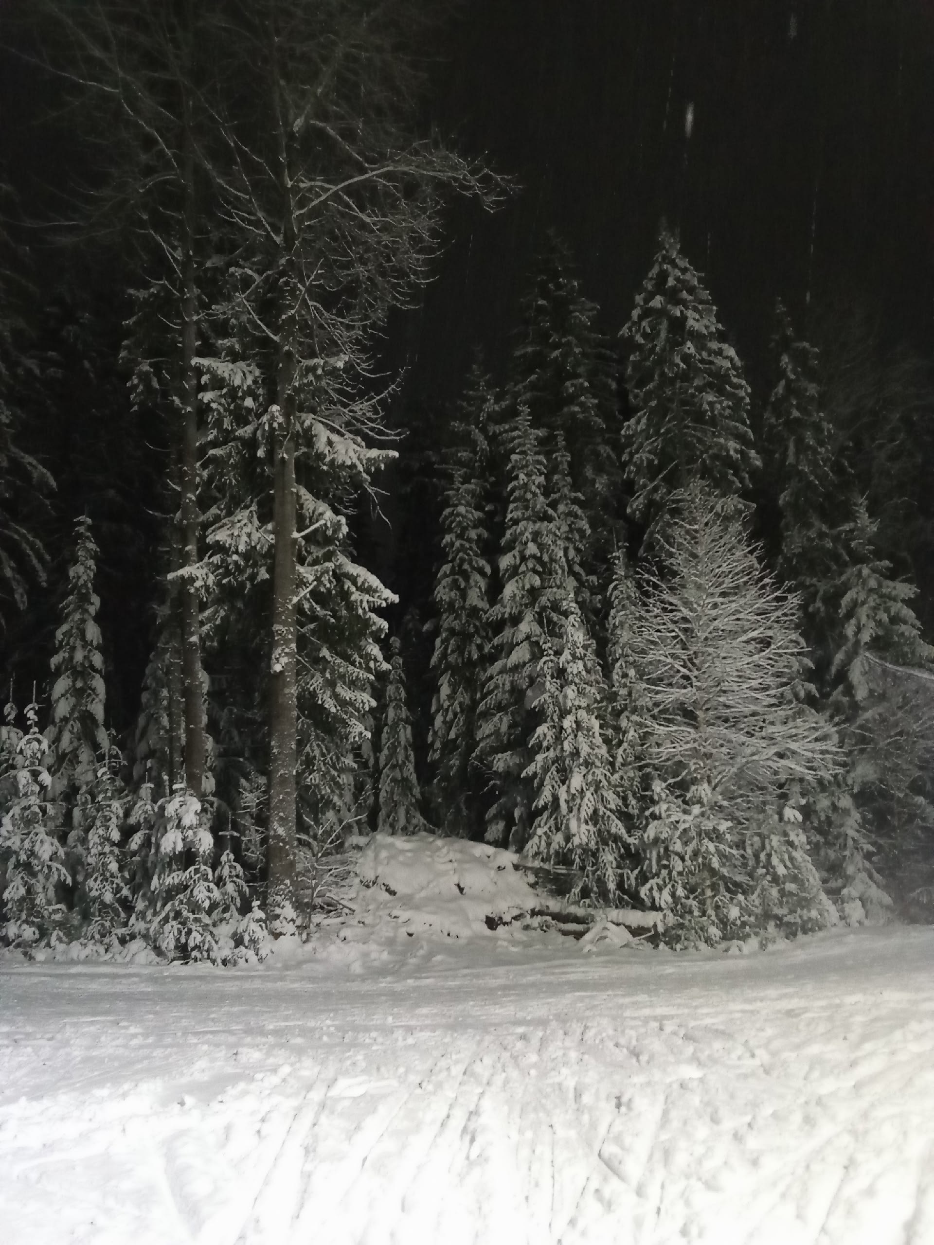 Зимняя сказка от курских лыжников! Зимняя сказка от курских лыжников!
