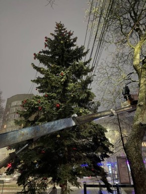 ���� �������� �������� � ������ ����