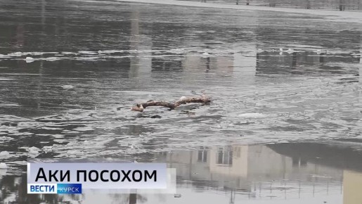 11111 ������� ���� ������� ������� ����� � ����� ��������� ����� � ����� �����: