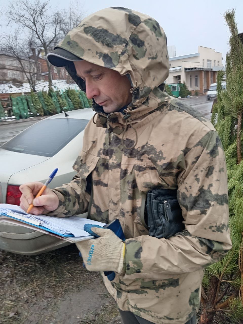 Курск заполонили нелегальные ёлочные базары Курск заполонили нелегальные ёлочные базары