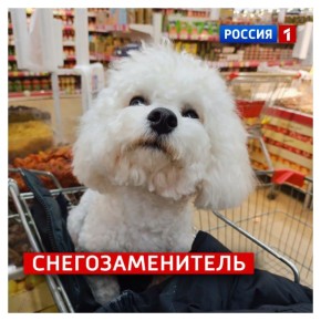 23 �������, �������. ���� � ��� ���������� ��������� � ��������� �������� ������ � ���������