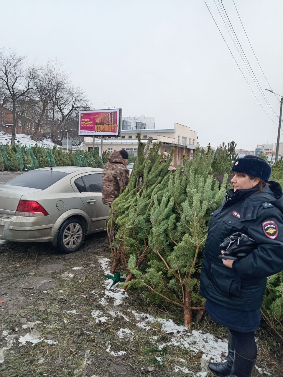 Курск заполонили нелегальные ёлочные базары