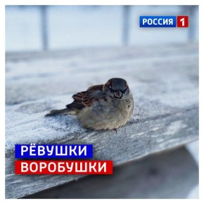 26 �������, �������. ����� ����, � �� �� ����� � ���� ���� ������ ���������