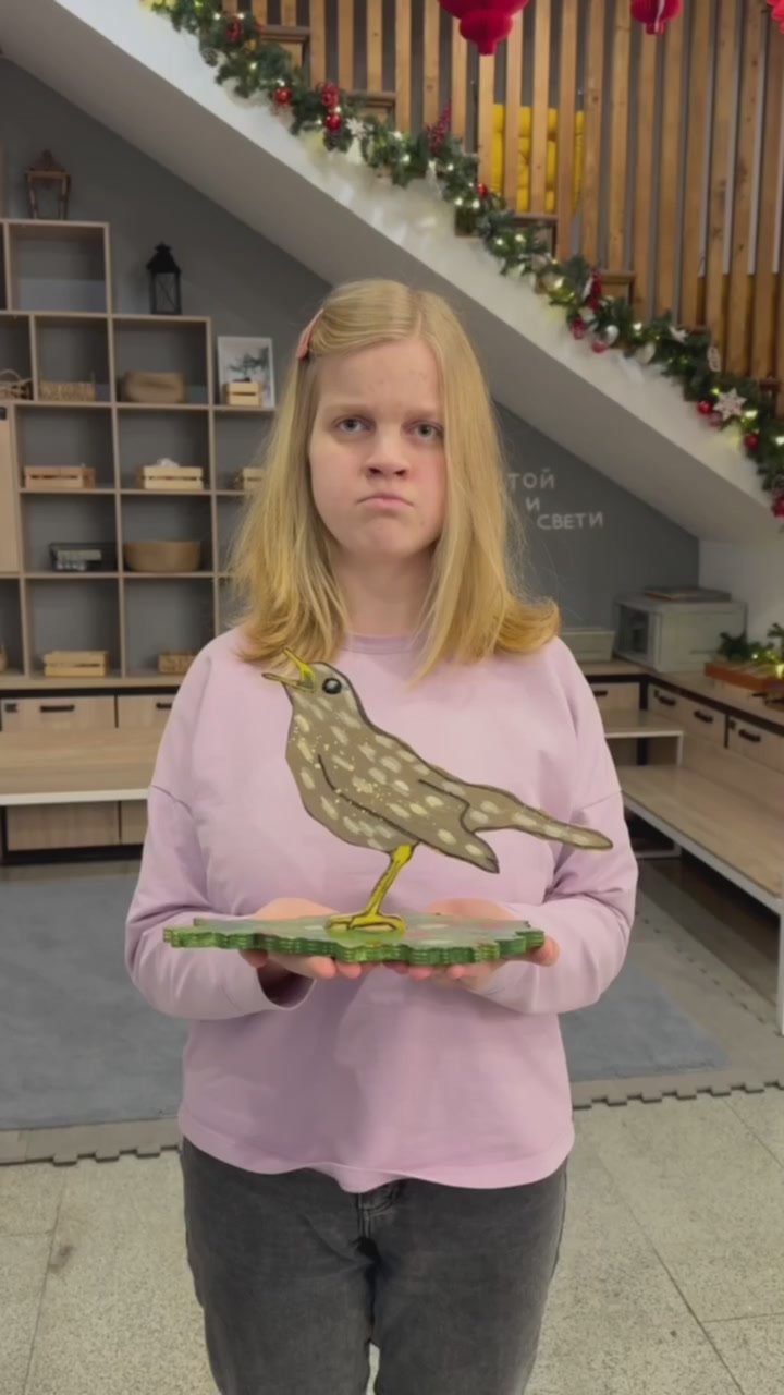 В преддверии Нового года волонтеры из Германии совершили гуманитарную миссию в Курске