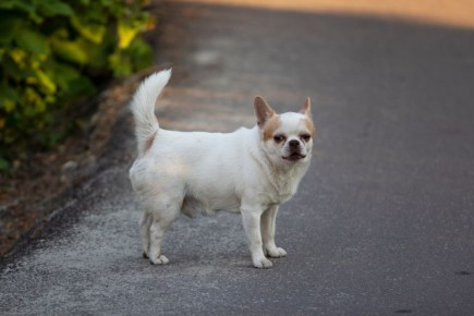 � ������� ������� ���������� ��������� ������� ������ 1 ��� ������ ����� ������ ������