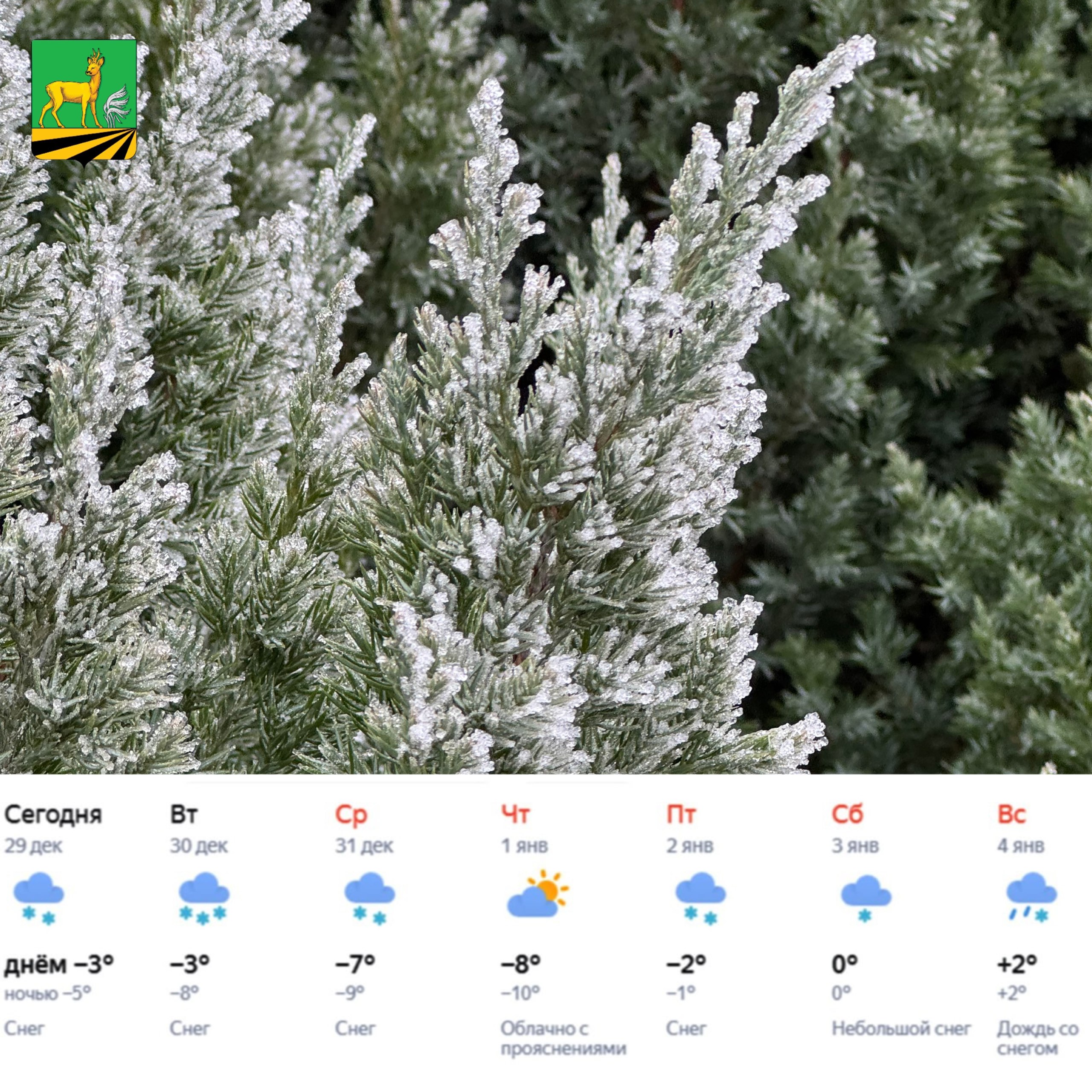 Друзья, предстоящая неделя выдастся зимней, а Новый год снежным! Желаем отличного завершения года