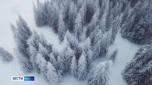 �� 30 �������. ����� ������ | �������� | MAX