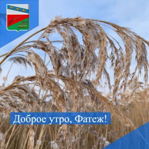 ������ ����. �������� ����� �������� ������� ������ 2025 ����