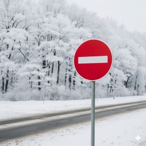 � ������ �� 20:00 15 ������ ��������� ������� ����� 2-� �������