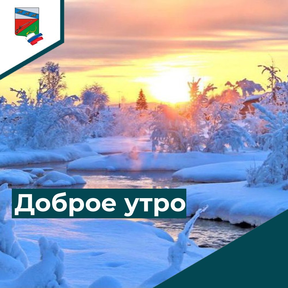 Какая погода на Новый год ожидается в Курской области