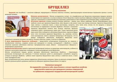 ����������� ���������� � ������������ ����������