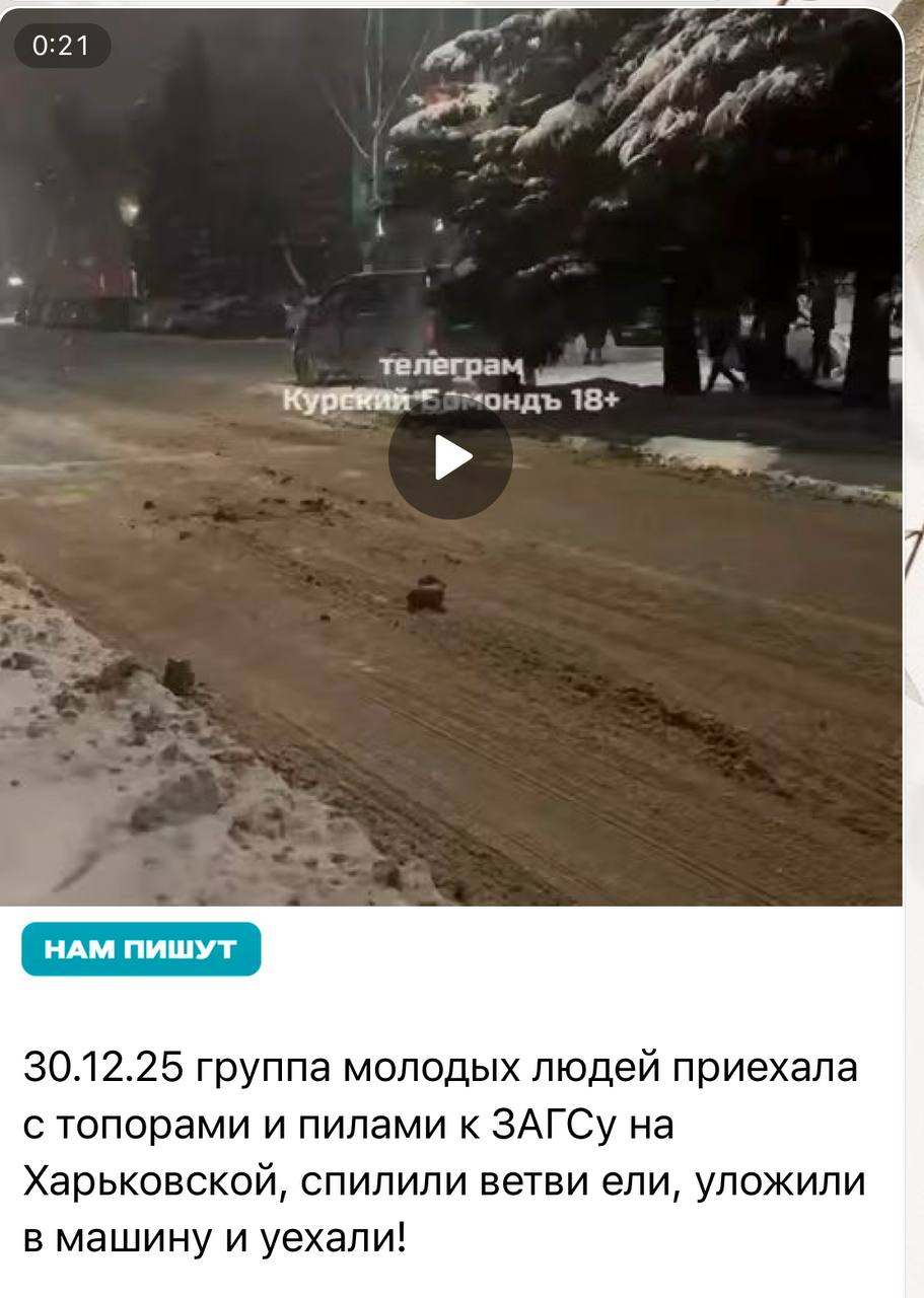 В Сеймском отделе полиции УМВД России по г.Курску начали проведение проверки по факту, опубликованному на видео в социальных сетях