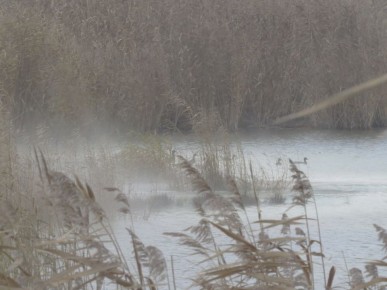 ���� � ������ ������� ������� ��� �� ������ ����� � ���