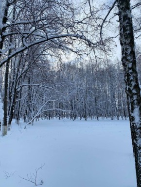 ���� ��������: ��������� ����