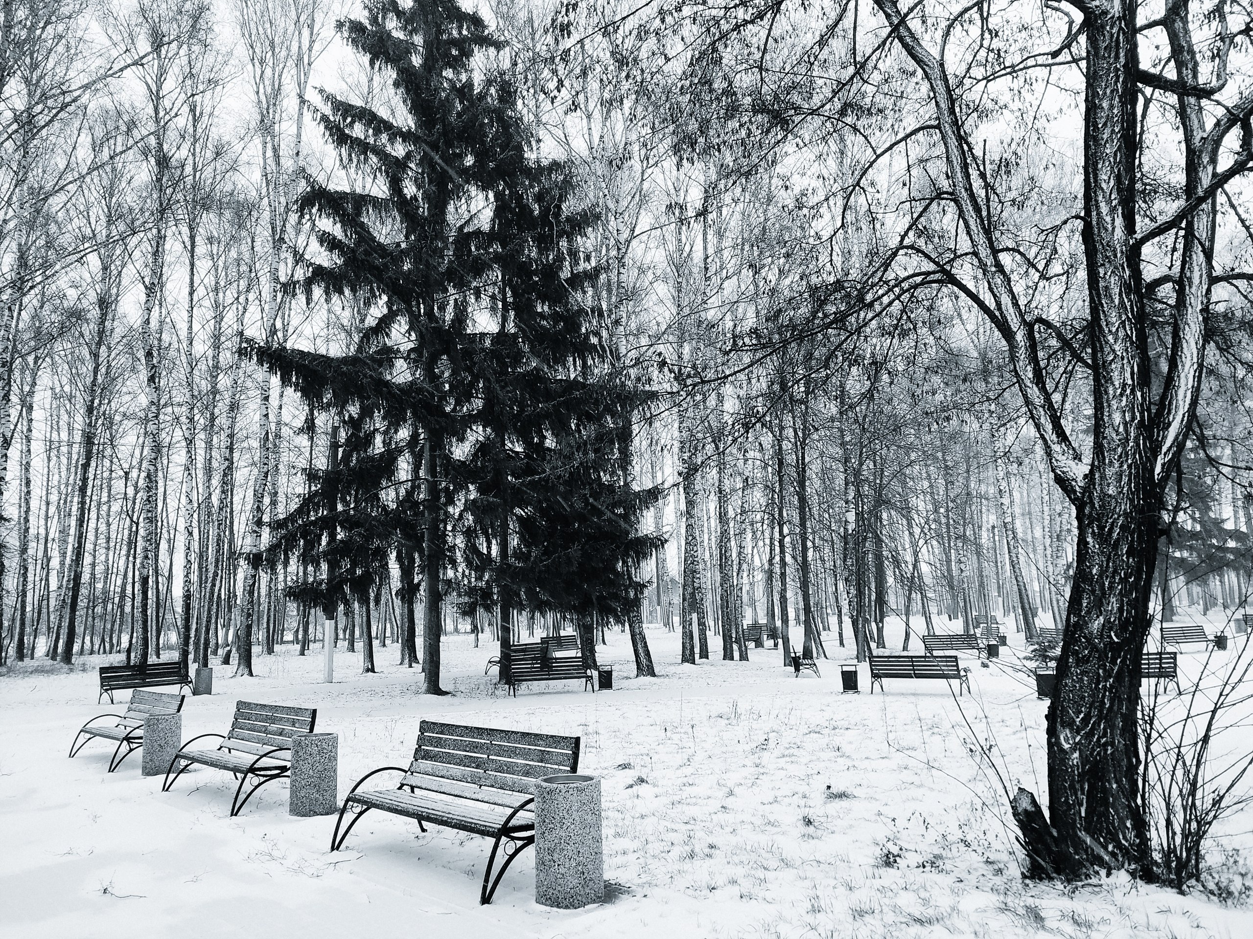 Доброе утро! Делитесь в комментариях снимками этой зимы Доброе утро! Делитесь в комментариях снимками этой зимы