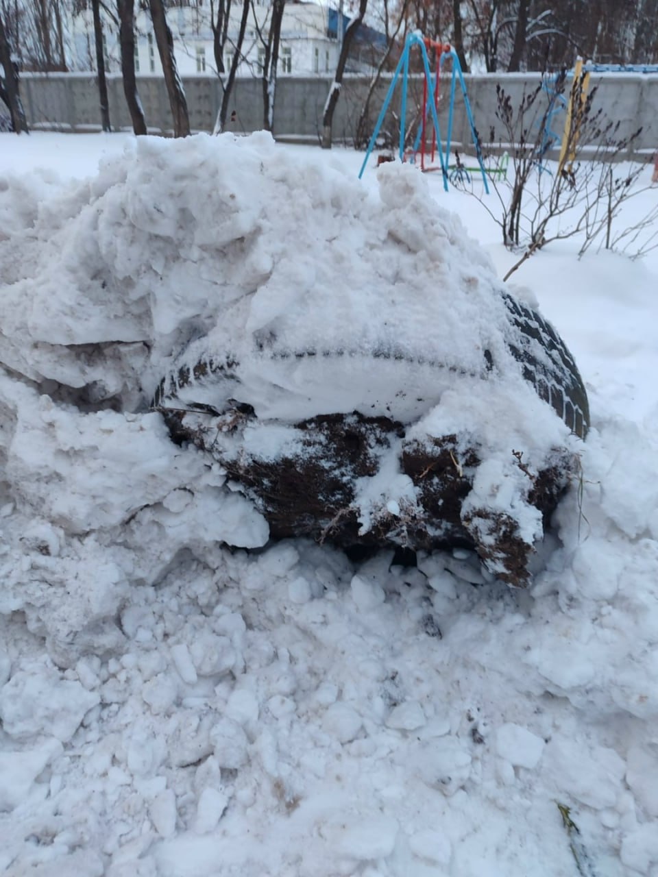 Нам пишут: «Жители 2 подъезда дома 3 по улице Аэродромная "благодарят" ЖЭУ ООО"УК Энергия" за расчистку снега вместе с насаждениями во дворе. Безобразно закиданы и частично выдраны клумбы с кустами сирени. "Спасибо" за... Нам пишут: «Жители 2 подъезда дома 3 по улице Аэродромная "благодарят" ЖЭУ ООО"УК Энергия" за расчистку снега вместе с насаждениями во дворе. Безобразно закиданы и частично выдраны клумбы с кустами сирени. "Спасибо" за...