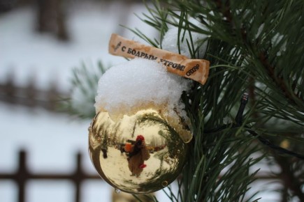 Вы там как? Живы? Пора выходить на улицу, дышать зимой, новым годом