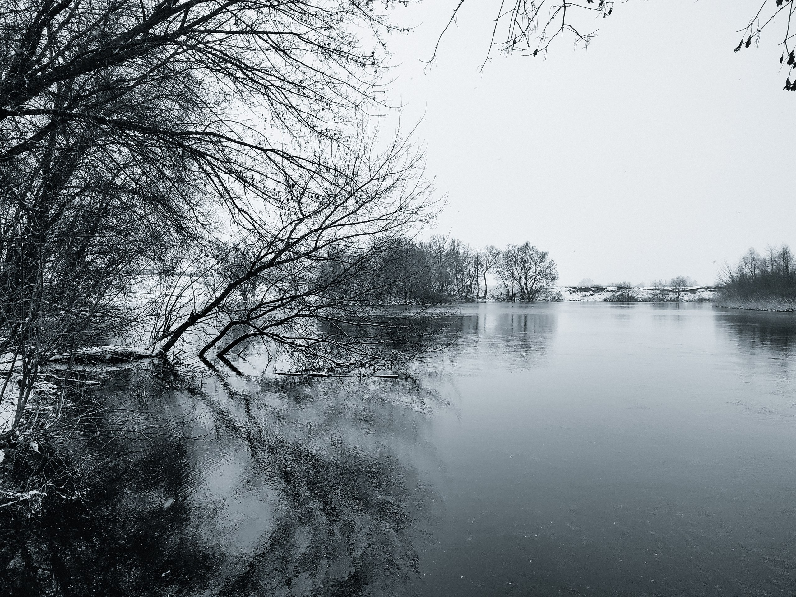 Доброе утро! Делитесь в комментариях снимками этой зимы