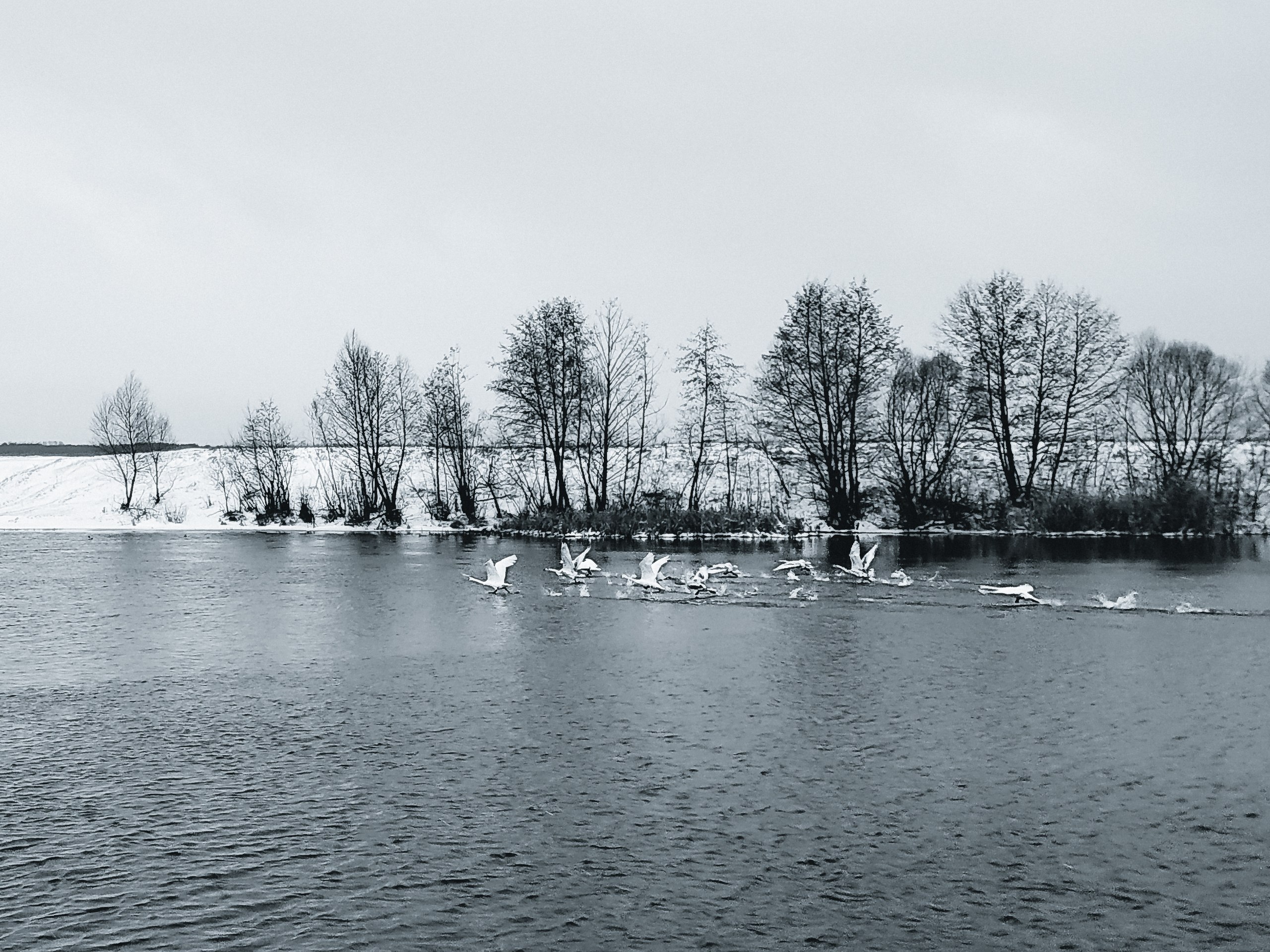 Доброе утро! Делитесь в комментариях снимками этой зимы Доброе утро! Делитесь в комментариях снимками этой зимы