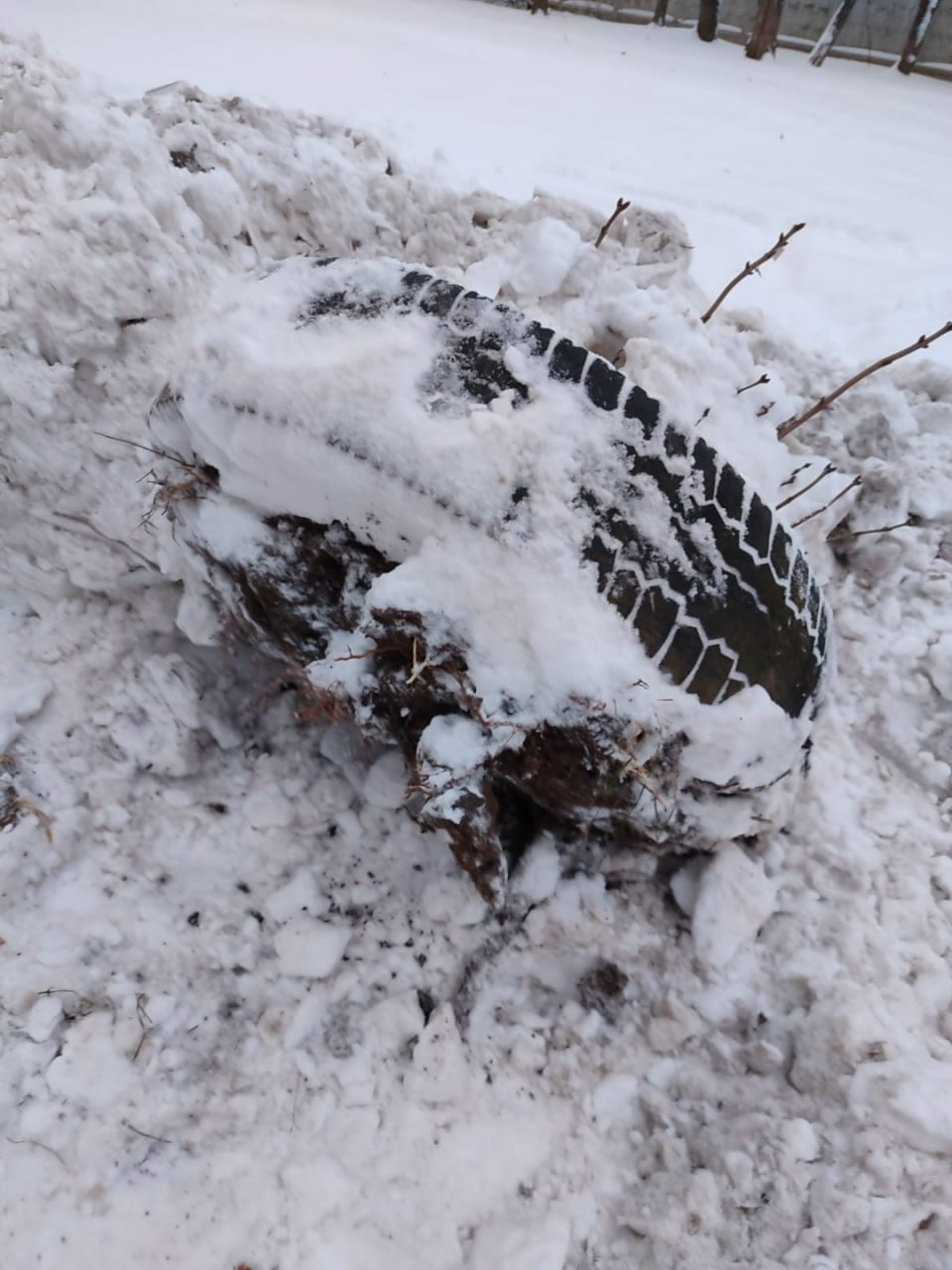 Нам пишут: «Жители 2 подъезда дома 3 по улице Аэродромная "благодарят" ЖЭУ ООО"УК Энергия" за расчистку снега вместе с насаждениями во дворе. Безобразно закиданы и частично выдраны клумбы с кустами сирени. "Спасибо" за... Нам пишут: «Жители 2 подъезда дома 3 по улице Аэродромная "благодарят" ЖЭУ ООО"УК Энергия" за расчистку снега вместе с насаждениями во дворе. Безобразно закиданы и частично выдраны клумбы с кустами сирени. "Спасибо" за...