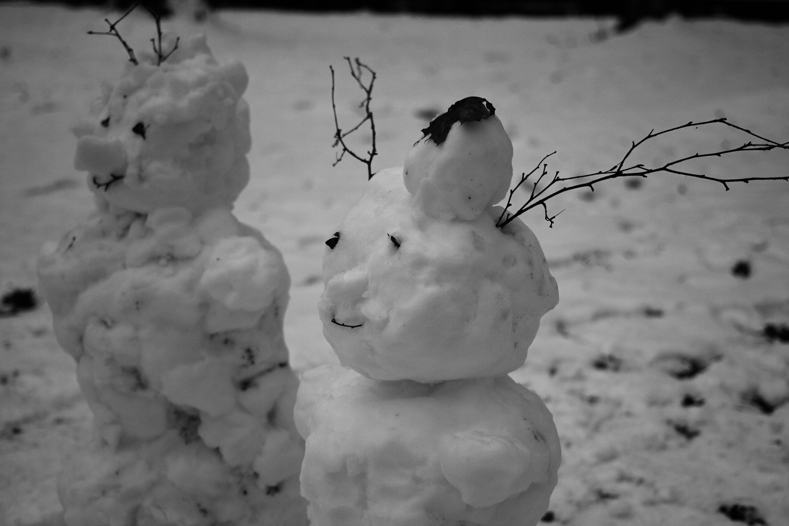 Вы там как? Живы? Пора выходить на улицу, дышать зимой, новым годом Вы там как? Живы? Пора выходить на улицу, дышать зимой, новым годом