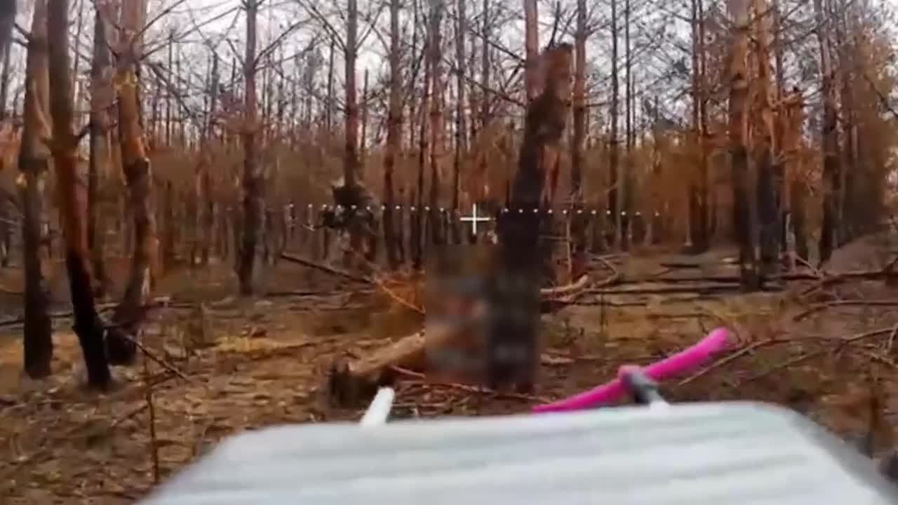 Диверсионно-разведывательная группа ВСУ уничтожена в Харьковской области