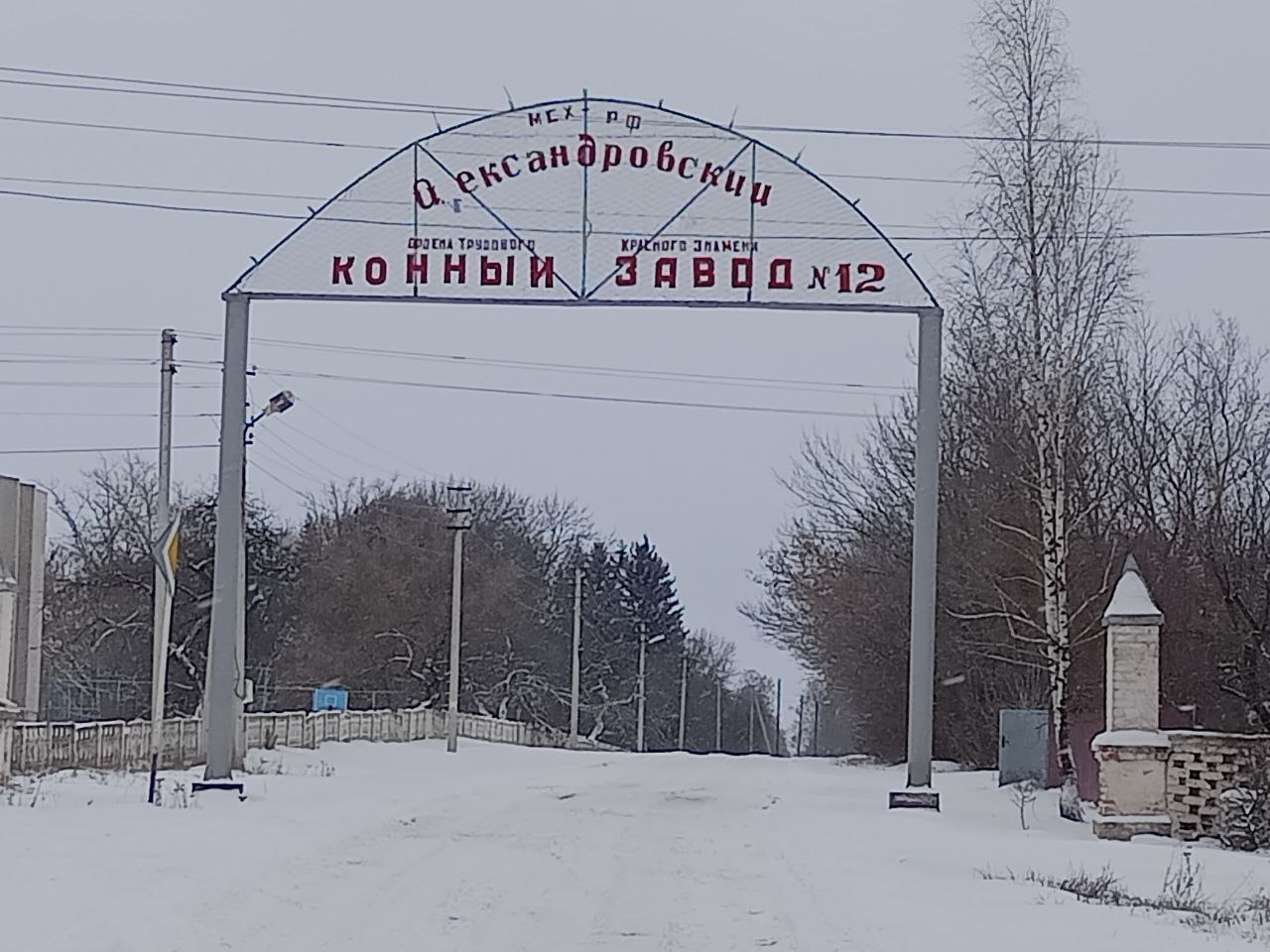 В Курской области восстановят старинный Александровский конезавод