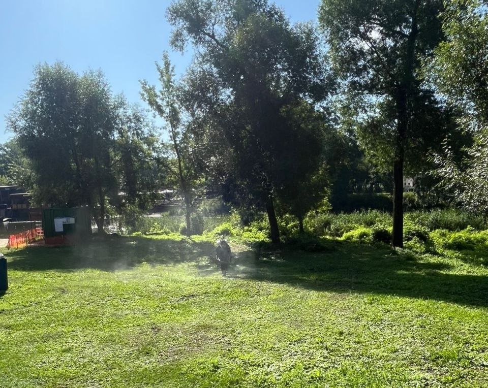 В прошлом году комитет городского хозяйства подготовил восемь муниципальных пляжей к купальному сезону В прошлом году комитет городского хозяйства подготовил восемь муниципальных пляжей к купальному сезону