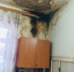 � ������ �� ��������� � ���� ��������� ������� ��-�� ����������