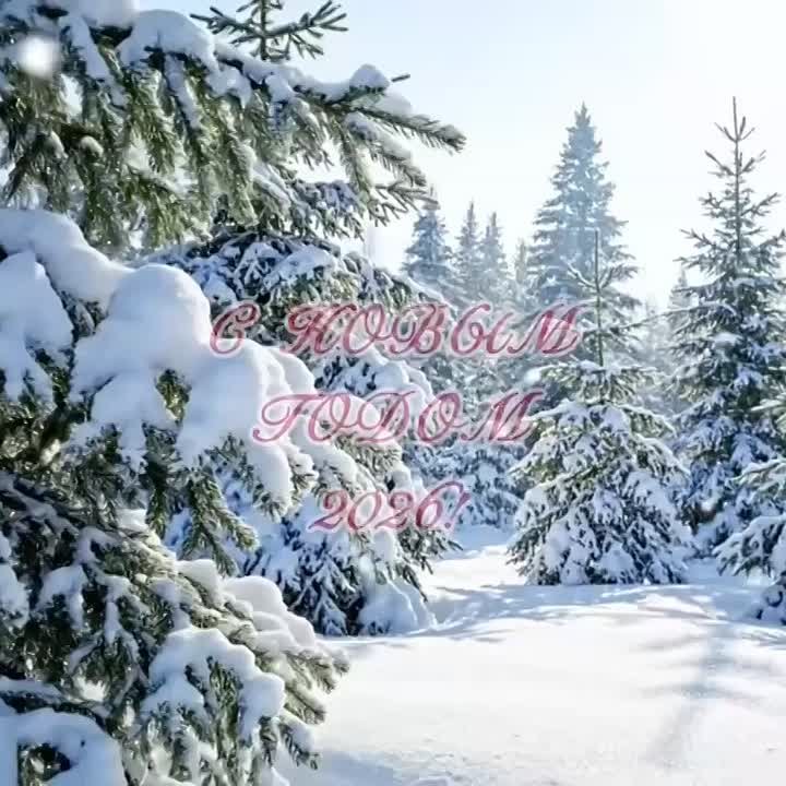 «С Новым годом! Пусть этот год превзойдёт все ваши ожидания и станет по-настоящему счастливым и незабываемым»