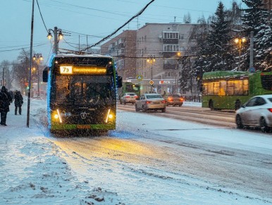 Циклон «Фрэнсис» обрушится бурей на Курскую область