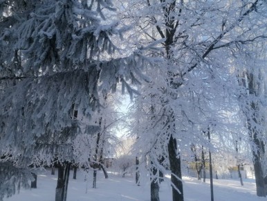 �� ������� ������� ����������� ������� �������� �����