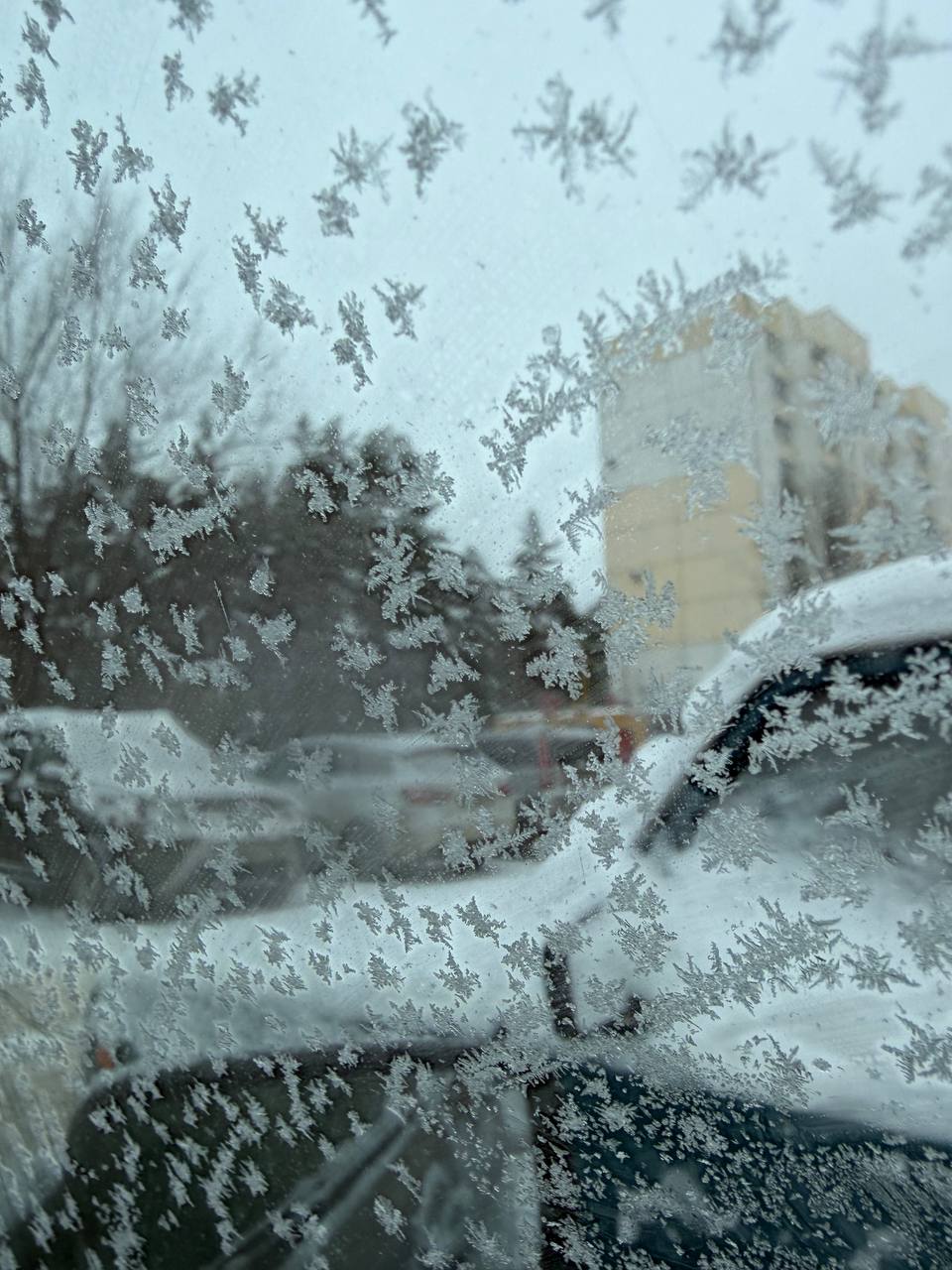 В Курской области в ночь с 9 на 10 января ожидаются морозы и гололед