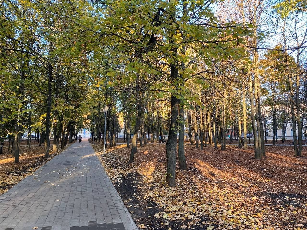 В прошлом году в парке Героев гражданской войны проводили второй этап благоустройства В прошлом году в парке Героев гражданской войны проводили второй этап благоустройства