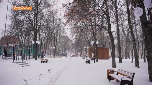 Курскую область накрыло сказочным снегопадом