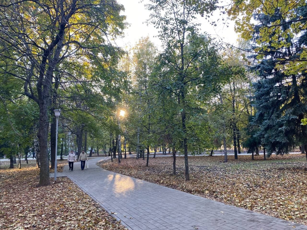 В прошлом году в парке Героев гражданской войны проводили второй этап благоустройства В прошлом году в парке Героев гражданской войны проводили второй этап благоустройства