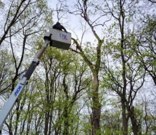 В прошлом году в Курске подрядная организация занималась поддержанием порядка на городских кладбищах В прошлом году в Курске подрядная организация занималась поддержанием порядка на городских кладбищах