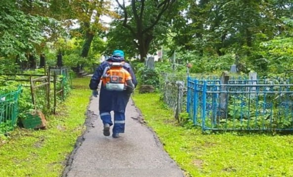 В прошлом году в Курске подрядная организация занималась поддержанием порядка на городских кладбищах