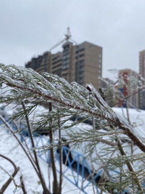 В Курской области в ближайшие дни установится морозная погода