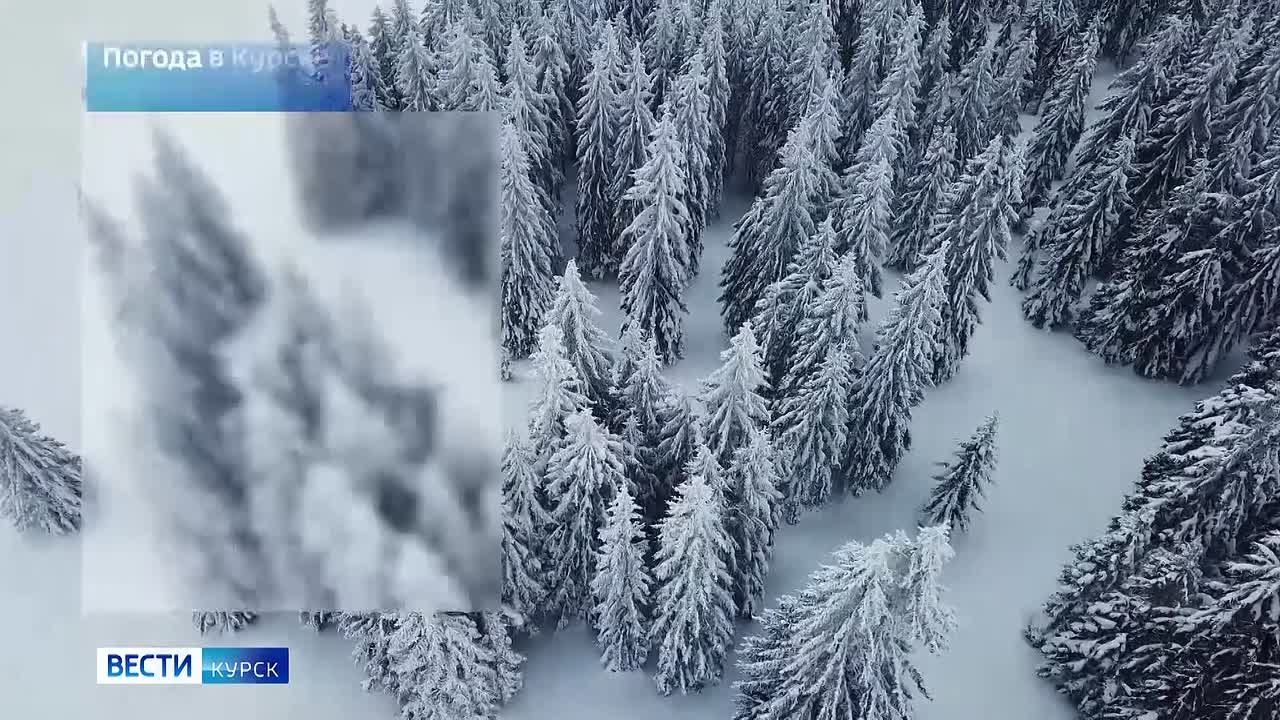 на 13 января. ВЕСТИ Читать | Прислать | MAX