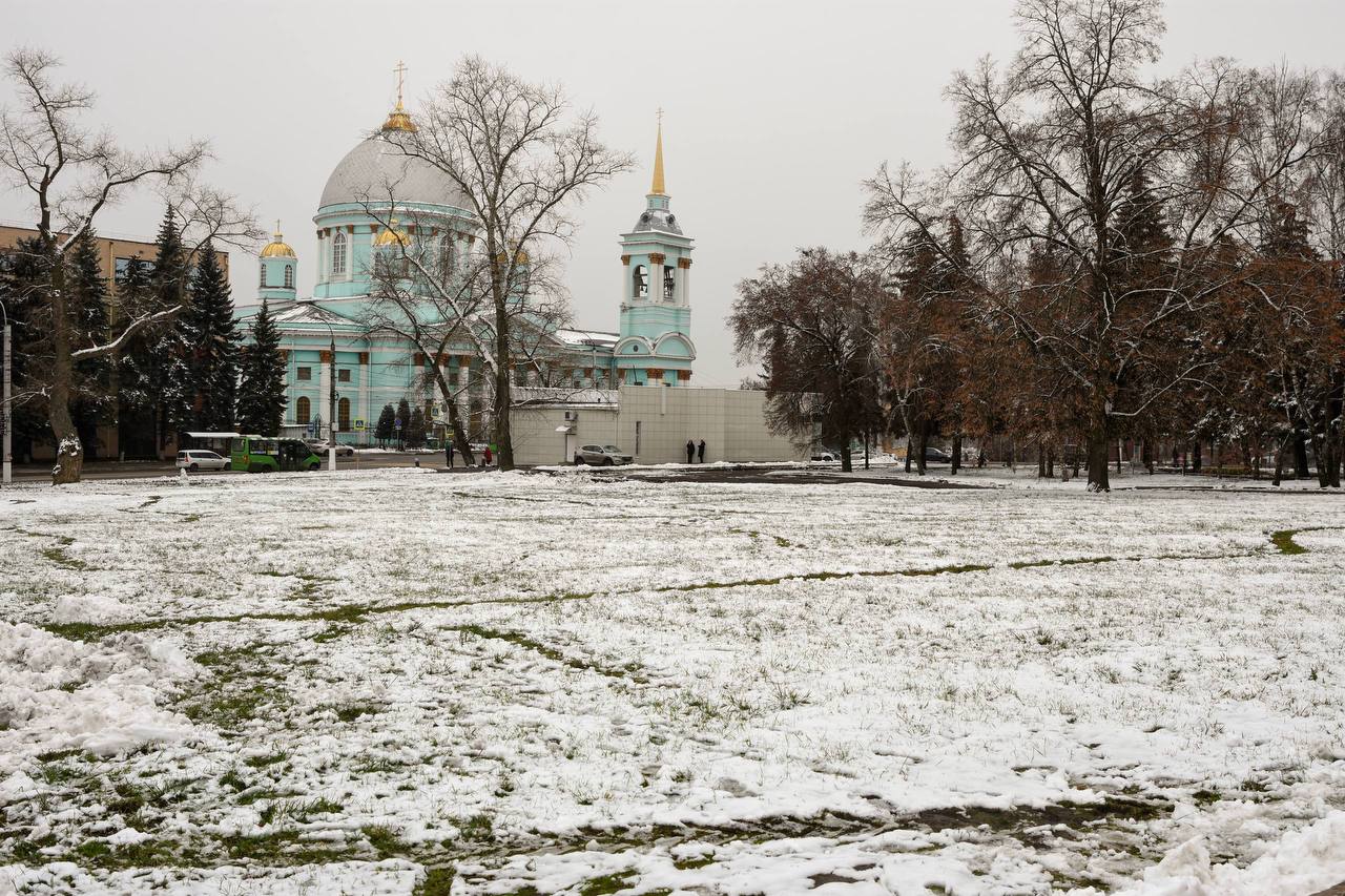 Верховный суд отменил легализацию самостроя в Первомайском парке Курска Верховный суд отменил легализацию самостроя в Первомайском парке Курска