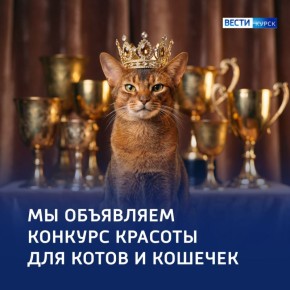 ����� � ���������: ��� ����� ����� ����� �����������