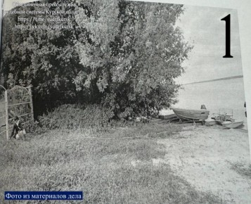 ��������� ����������� ���� ����������� � ���-������������ ������� ������� ���� �������